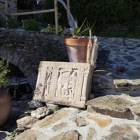 Du Bonelli *