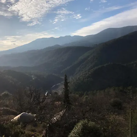 Du Bonelli